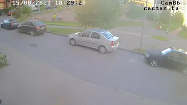 Main street, 56, view 2, Novoye Devyatkino village Live Cam