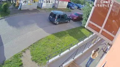 Vista 87, pueblo Novoye Devyatkino cámara web en vivo