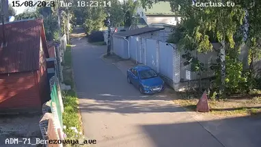 Веб-камера Березовая аллея, 3А, Мурино в реальном времени