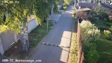 Beco de bétulas, 8, Murino webcam ao vivo