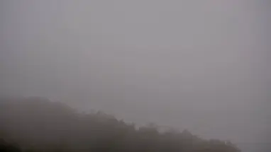 Brasstown Bald, North mountains Live Cam