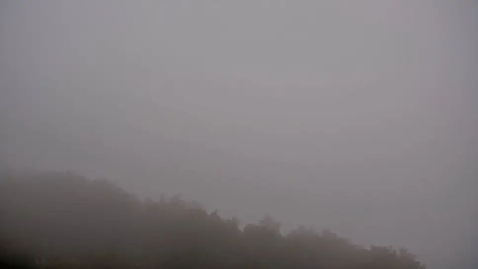 Live cam Brasstown Bald, North mountains ️ camera24