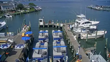 jachthaven, Fish Tales Bar and Grill, Ocean City online-webcam