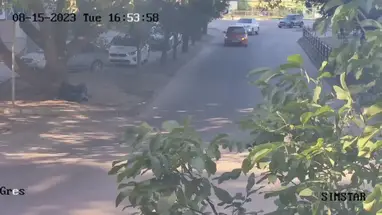 Eingang des BHKW Simferopol Online-Webcam