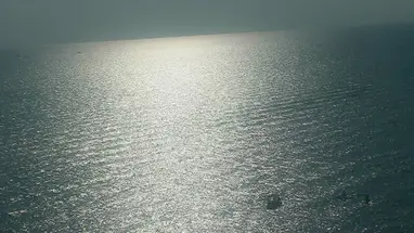 Hotel Flamingo, Adler'den görünüm canlı web kamerası