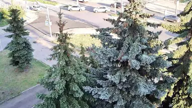 Myshkinsky proezd, Yaroslavl canlı web kamerası