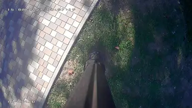 Plac Teatralny, widok 3, Evpatoria kamera na żywo