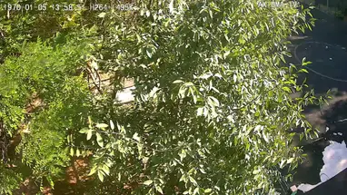 Веб-камера улица Фрунзе, 55, вид 2, Евпатория в реальном времени