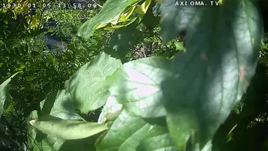 Frunze-Straße, 55, Ansicht 3, Jewpatoria Online-Webcam