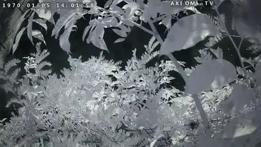 Frunze street, 55, view 4, Evpatoria Live Cam