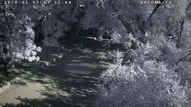 Calle Frunze, vista 11, Evpatoria cámara web en vivo