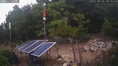 Kesintisiz Yaban, Erbaa online-webcam