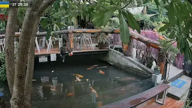 Веб-камера Zoo Cafe, Ко Панган в реальном времени