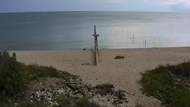 Nationales Institut für Küstenaquakultur Online-Webcam