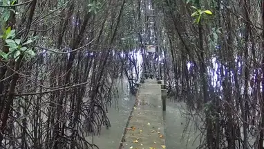 Onderzoeks- en ontwikkelingscentrum voor mariene en kustbronnen online-webcam