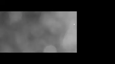 Jirafas y cebras, Zoológico Taronga de Sydney cámara web en vivo