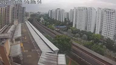 Bosques, Singapur cámara web en vivo