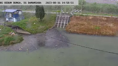 किलोग्राम। केबुन बुंगा, एसजी। दमनसरा, पेटलिंग लाइव वेबकैम प्रसारण