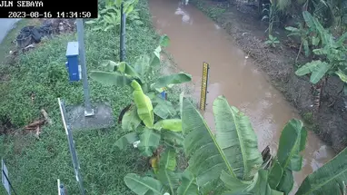 Jalan Sebaya, Klang canlı web kamerası