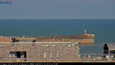 हेस्टिंग्स पियर लाइव वेबकैम प्रसारण