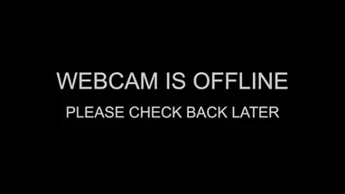 El proyecto Wakefield Peregrino cámara web en vivo