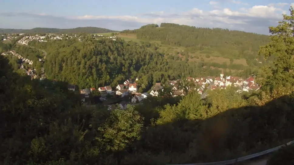 Live Webcam Wildberg city view