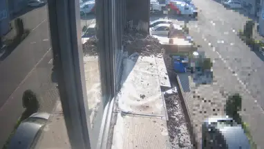 Enea e Rupert, o casal Ibis da Suíça, Rumlang webcam ao vivo