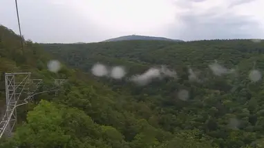 Baumschwebebahn Bad Harzburg Live Cam