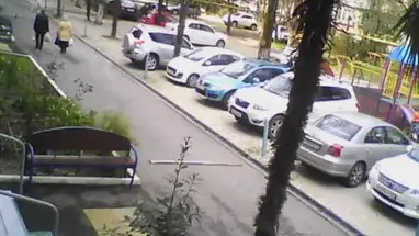 Central Market, Adler Live Cam