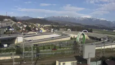 Anillo Adler cámara web en vivo