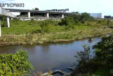 Rivière Akigawa au pont Akiru, Akiruno