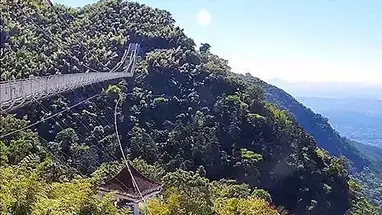 Cầu Taiping Sky, Gia Nghĩa phát trực tiếp qua webcam