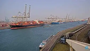 Amazonehaven, Batı görünümü, Maasvlakte Rotterdam canlı web kamerası
