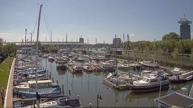 Sixhaven w Amsterdamie kamera na żywo