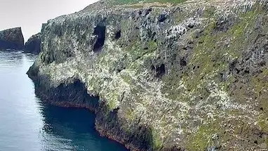 Anacapa Adası Koyu canlı web kamerası