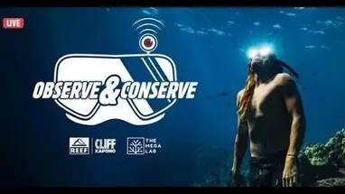 Aqualink, MEGA Lab, Hawaii Live Cam