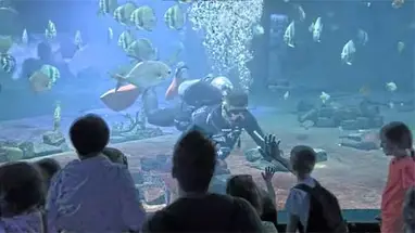 Akvaryum, Budapeşte Hayvanat Bahçesi canlı web kamerası