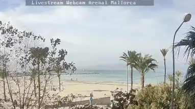 Arenal Majorka, Hiszpania kamera na żywo