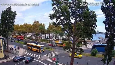Avenida Do Mar Crosswalk, Madeira Live Cam