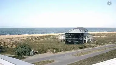 Wyspa Łysej Głowy kamera na żywo