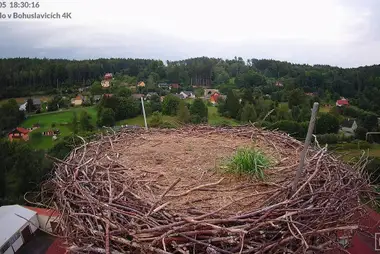 Webcam at the stork nest in the village of Bohuslavice, Czech Republic