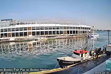 Boston Harbor Fish Pier Cam, USA