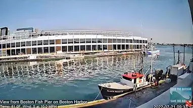 Bến tàu cá cảng Boston phát trực tiếp qua webcam