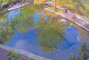 Botany Pond, Hyde Park