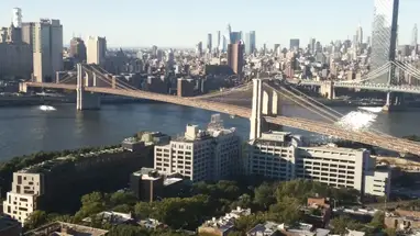 Ponti di Brooklyn e Manhattan, New York webcam dal vivo