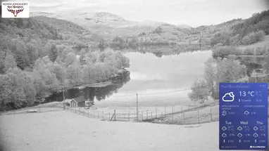 Nordfjordhjort, Nave canlı web kamerası