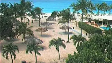 Bucuti Beach, Aruba Live Cam