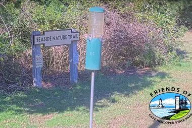 Seaside Doğa Merkezi Kuş Yemliği, Cape Henlopen