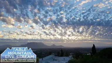 Tafelberg, Kaapstad online-webcam