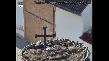 Nidos de cigüeñas, pueblo de Dubna cámara web en vivo